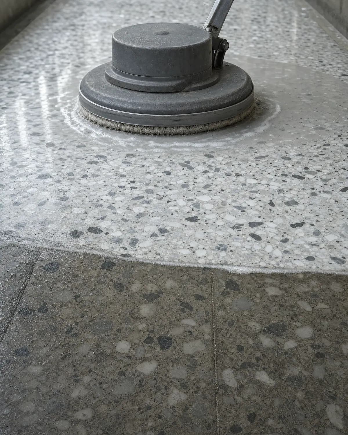 Einscheibenmaschine auf einem Terrazzoboden, vor der Maschine die Grenze zwischen gereinigtem und stumpfem Stein